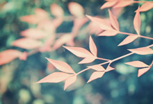 沉浸式投影革命：DLP技术如何颠覆你的视觉体验？