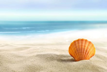 鸣茂安科技：引领AI时代的软件与信息技术解决方案专家