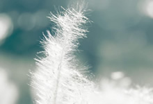 超讯通信重磅出击！携手成立AIoT新公司，引爆智能物联革命