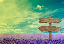 仅16所高校开设！量子信息科学专业已成国家未来产业布局核心